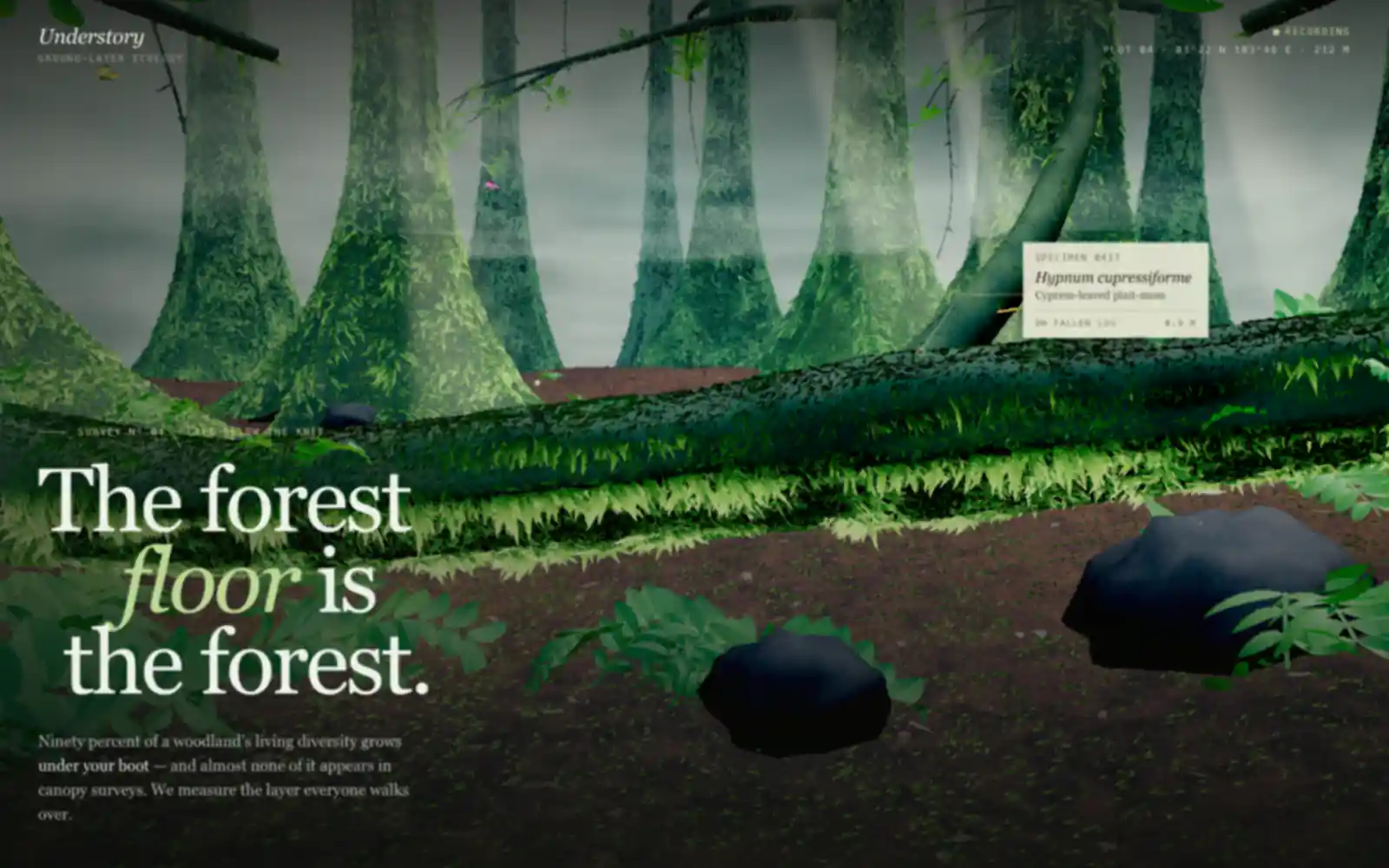 Understory Living Jungle 3D Hero